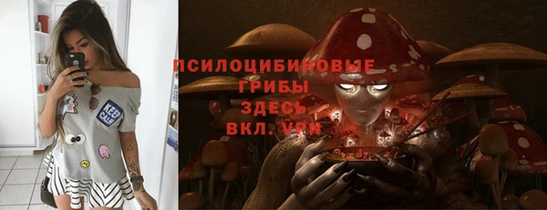 бошки Алексеевка