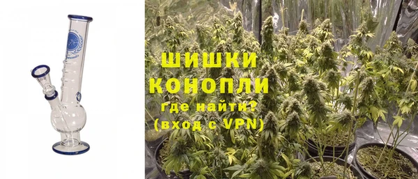 спайс Алзамай
