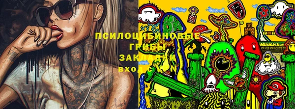 ешки Алексин