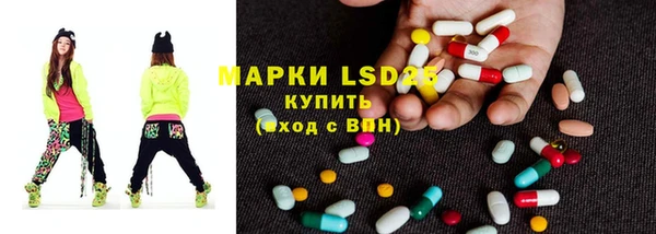 спайс Алзамай